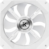 EKWB EK-Quantum Impulse 120 D-RGo - White, Ventilateur de boîtier Blanc