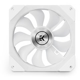 EKWB EK-Quantum Impulse 120 D-RGo - White, Ventilateur de boîtier Blanc