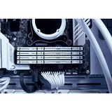 Kingston FURY 32 Go DDR5-5600, Mémoire vive Blanc, KF556C36BWE-32, Beast, EXPO