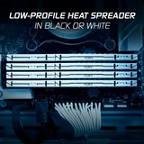 Kingston FURY 32 Go DDR5-5600, Mémoire vive Blanc, KF556C36BWE-32, Beast, EXPO