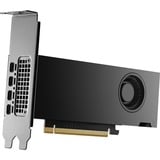 NVIDIA® RTX 2000 Ada 16 Go, Carte graphique 4x Mini DisplayPort, Bulk, En vrac