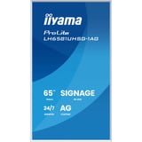 iiyama ProLite LH6581UHSG-1AG, Affichage public Blanc, HDMI, USB-C, LAN, WiFi, audio, Android 14 OS