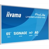 iiyama ProLite LH6581UHSG-1AG, Affichage public Blanc, HDMI, USB-C, LAN, WiFi, audio, Android 14 OS