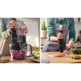 Bosch Staafmixer ErgoMaster MSM4B621, Batteur électrique Noir/Anthracite