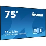 iiyama ProLite LH7565UHSB-B1, Affichage public Noir