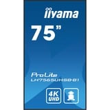 iiyama ProLite LH7565UHSB-B1, Affichage public Noir