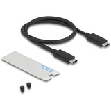 DeLOCK Boîtier SSD M.2 NVMe USB-C 40 Gbps, Boîtier disque dur Gris, avec ventilateur