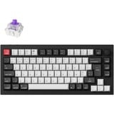 Keychron Q1 HE-H1Z QMK RGB clavier mécanique Noir, Layout BE (AZERTY), Gateron Double-Rail Magnetic Nebula, 75%, Hot-swappable, Bluetooth, 2.4GHz