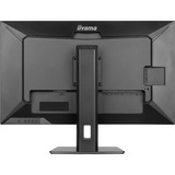iiyama ProLite XUB3297QSNP-B1 32" Moniteur  Noir, 1x entrée HDMI, 1x DisplayPort, USB-A, USB-C, LAN