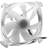 Sharkoon SHARK Disc PWM RGB ventilateur de boîtier Transparent, 120 x 120 x 25 mm