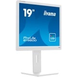 iiyama Prolite B1980D-W5 19" Moniteur  Blanc, VGA, DVI