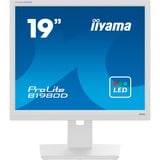 iiyama Prolite B1980D-W5 19" Moniteur  Blanc, VGA, DVI