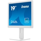 iiyama Prolite B1980D-W5 19" Moniteur  Blanc, VGA, DVI