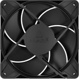 ARCTIC P14 Pro ventilateur de boîtier Noir, 140 x 140 x 27 mm, PWM, Ventilateur, 14 cm, 400 tr/min, 2500 tr/min, 186 m³/h, Noir