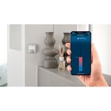 Bosch Thermostat d'ambiance Smart Home II Room, ZigBee, 2483,5 MHz, Bosch, Blanc, IP21