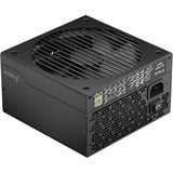 Fractal Design Ion Gold 750W alimentation  Noir, 750 W, 100 - 240 V, 50/60 Hz, 10 A, 120 W, 22 A