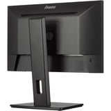 iiyama ProLite XUB2293HSU-B6 21.5" Moniteur  Noir, 100Hz, HDMI, DisplayPort, USB, Audio, AMD Free-Sync