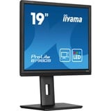 iiyama  19" Moniteur  Noir