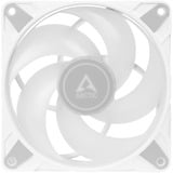 Arctic P14 PWM PST A-RGB, Ventilateur de boîtier Blanc, 4 broches PWM