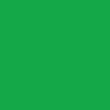 Cricut Infusible Ink Sheets - Green, Matériau d'impression Vert, 30 x 30 cm
