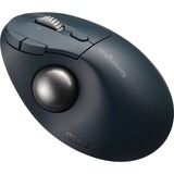 Kensington Pro Fit Ergo TB550, Trackball Noir, 400 - 1600 dpi, Bluetooth, 2,4 GHz