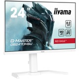 iiyama G-Master Red Eagle GB2470HSU-W6 24" Moniteur gaming  Blanc, HDMI, DisplayPort, USB, Audio