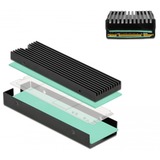 DeLOCK Dissipateur thermique pour M.2 SSD 2280 Noir