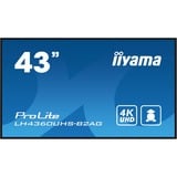 iiyama ProLite LH4360UHS-B2AG, Affichage public Noir, 4K UHD, HDMI, LAN, Audio, USB, WLAN, Android