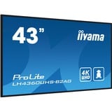 iiyama ProLite LH4360UHS-B2AG, Affichage public Noir, 4K UHD, HDMI, LAN, Audio, USB, WLAN, Android