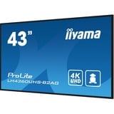 iiyama ProLite LH4360UHS-B2AG, Affichage public Noir, 4K UHD, HDMI, LAN, Audio, USB, WLAN, Android