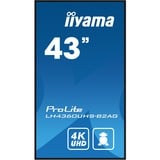 iiyama ProLite LH4360UHS-B2AG, Affichage public Noir, 4K UHD, HDMI, LAN, Audio, USB, WLAN, Android