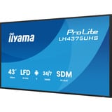 iiyama ProLite LH4375UHS-B2AG, Affichage public Noir (Mat), 3x HDMI | 1x DisplayPort | LAN | WiFi | 24/7