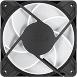 ARCTIC P12 Pro A-RGB ventilateurs de boîtier Noir, 3 pièces, 120 x 120 x 25 mm, PWM, Ventilateur, 12 cm, 131 m³/h, Noir, Blanc