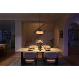 Govee Govee Pendant Light, Lampe Noir