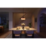 Govee Govee Pendant Light, Lampe Noir