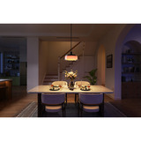 Govee Pendant Light, Lampe Noir