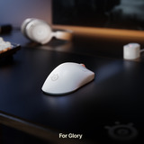 SteelSeries Rival Pro Mini, Souris gaming Blanc, 100 - 42 000 DPI, 8K, UWB / 6 GHz