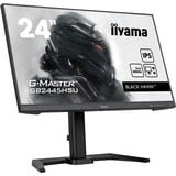 iiyama  24" Moniteur gaming  Noir