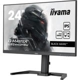 iiyama  24" Moniteur gaming  Noir