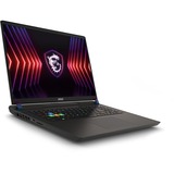MSI Vector 17 HX (A14VGG-217BE) 17" PC portable gaming  Gris | Core i9-14900HX | RTX 4070 | 16 Go | 1 To SSD | 240 Hz