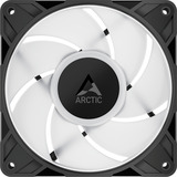 ARCTIC P12 Pro A-RGB LN ventilateur de boîtier Noir, 120 x 120 x 25 mm, PWM