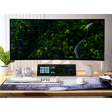 Corsair XENEON EDGE 14.5" Moniteur tactile Blanc, 1x HDMI, 1x USB-C
