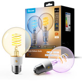 Govee Edison Bulb G80 E27 (2 pièces), Lampe à LED Transparent, Wi-Fi, Bluetooth