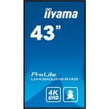 iiyama LH4360UHS-B1AG, Affichage public Noir (Mat)