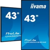 iiyama LH4360UHS-B1AG, Affichage public Noir (Mat)