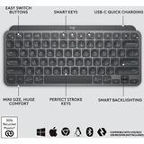 Logitech MX Keys Mini Minimalist Wireless clavier Graphite, Layout US-International (QWERTY), 80% (TKL), Bluetooth