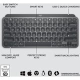Logitech MX Keys Mini Minimalist, clavier Graphite, Layout US (QWERTY), Bluetooth