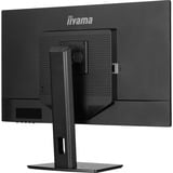 iiyama ProLite XB3270QSU-B1 31.5" Moniteur  Noir, 100Hz, HDMI, DisplayPort, USB, Adaptive Sync