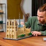 LEGO Architecture - Notre-Dame de Paris, Jouets de construction 21061