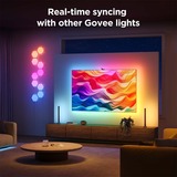 Govee Envisual Smart TV Backlight 3S, Lampe Wi-Fi 2,4 GHz, Bluetooth, pour les téléviseurs de 55 à 65 pouces